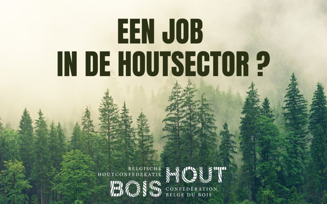 Een job in de houtsector?